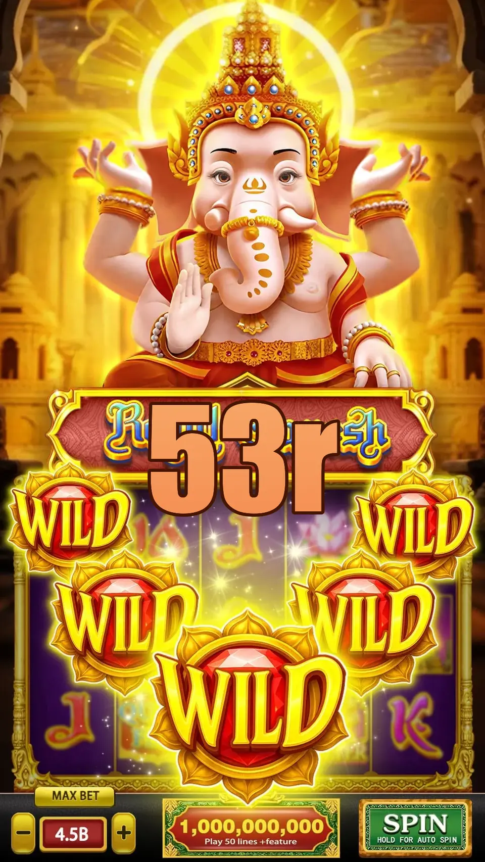 53r Login